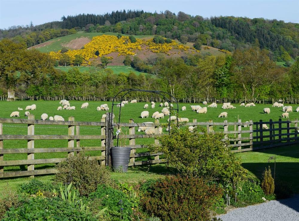 Spectacular rural scenery (photo 2) at Solitude in Aberhafesp, near Newtown, Powys