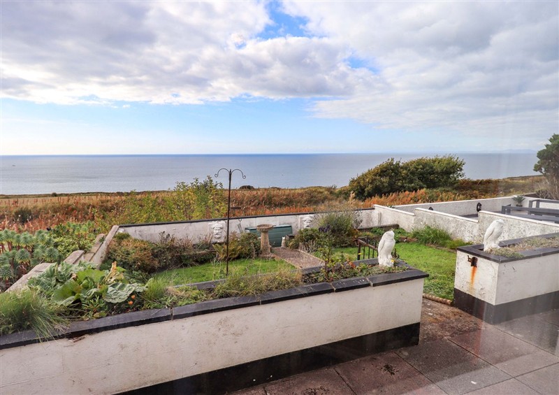 The garden at Solway View, Whitehaven
