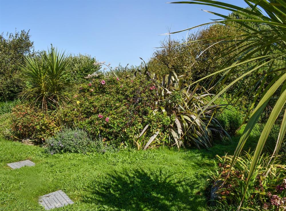 Garden at Some Place in Sennen, Cornwall