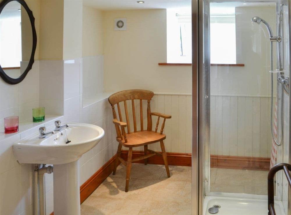 Spacious shower room with standalone cubicle at Cobweb Cottage, 
