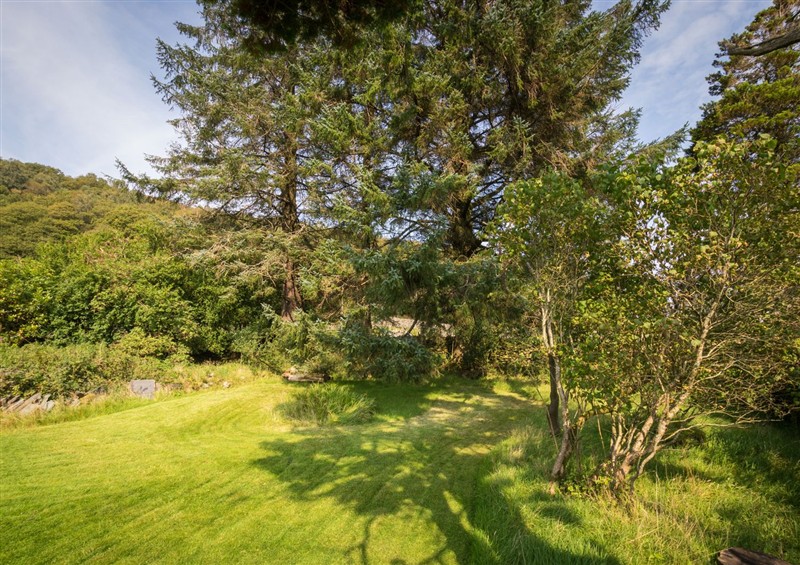 The garden in Souterstead at Souterstead, Torver near Coniston