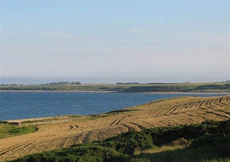 The setting of South Cottage (Howick) at South Cottage (Howick), Craster