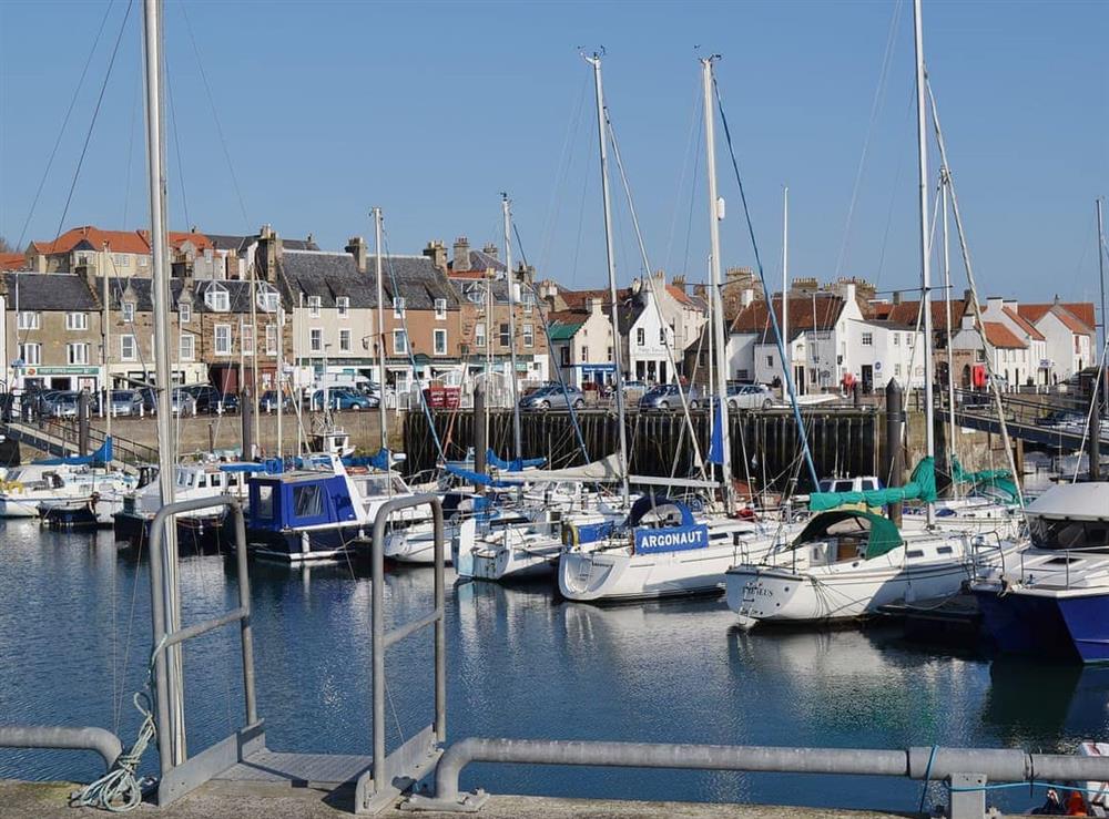 Anstruther at South House in Lathones, near St Andrews, Fife