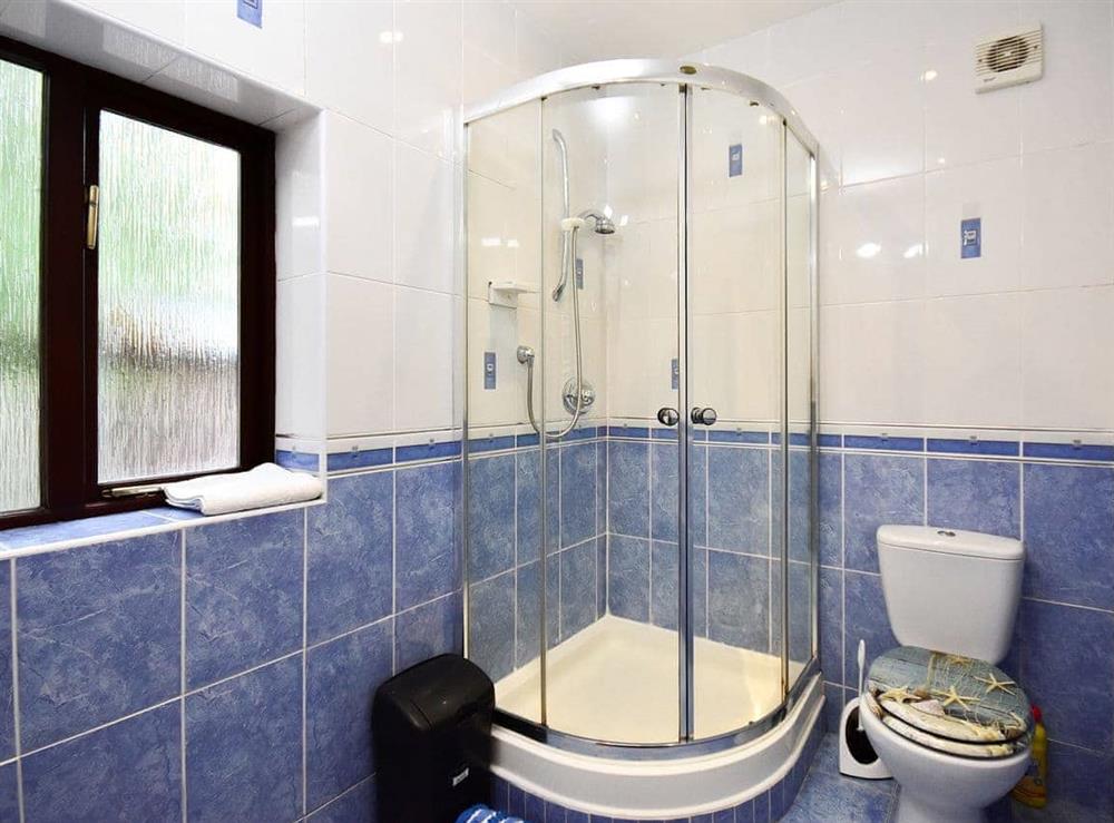 Shower room with large cubicle at South Lodge Cottage in Worthington, near Standish, Lancashire