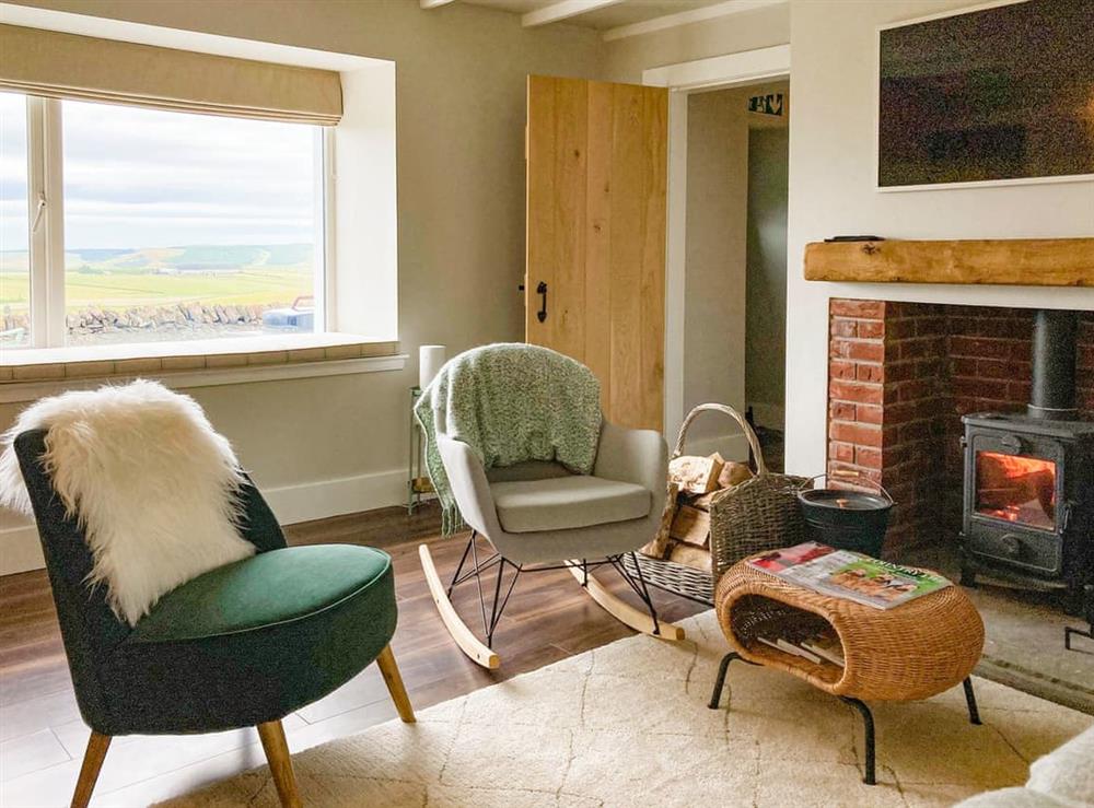 Living room (photo 4) at South Riccalton Farm Cottage in Jedburgh, Roxburghshire