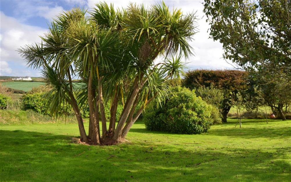 The mature well-kept garden at South Riding in Thurlestone