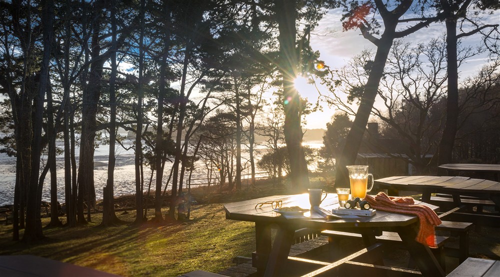 The outdoor eating area of South Shore Lodge Brownsea Island, Dorset at South Shore Lodge in Poole, Dorset