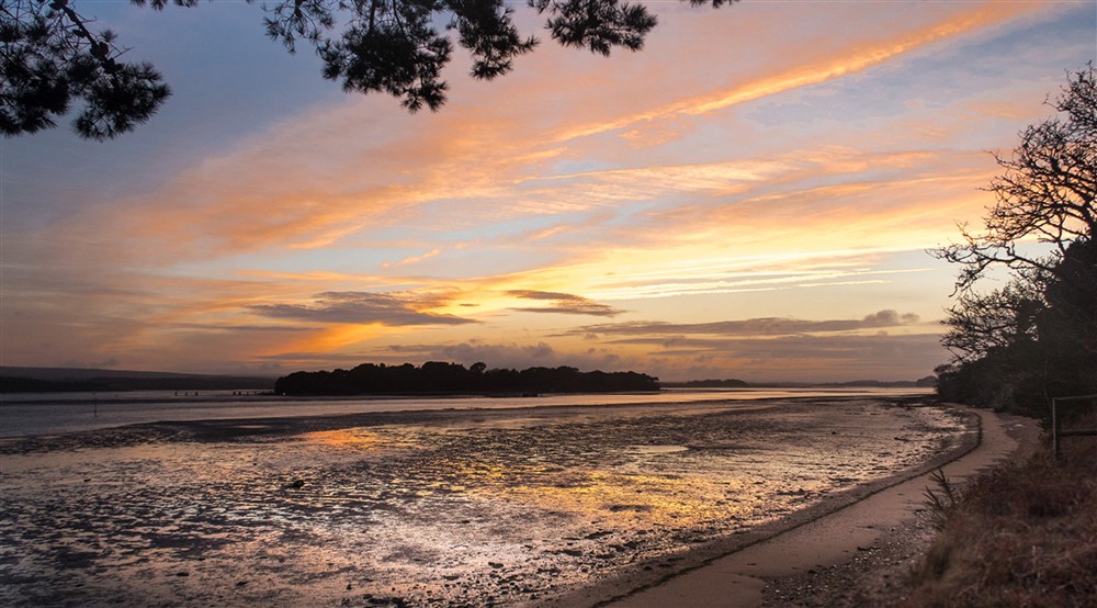 The surrounding area of South Shore Lodge Brownsea Island, Dorset (photo 2) at South Shore Lodge in Poole, Dorset