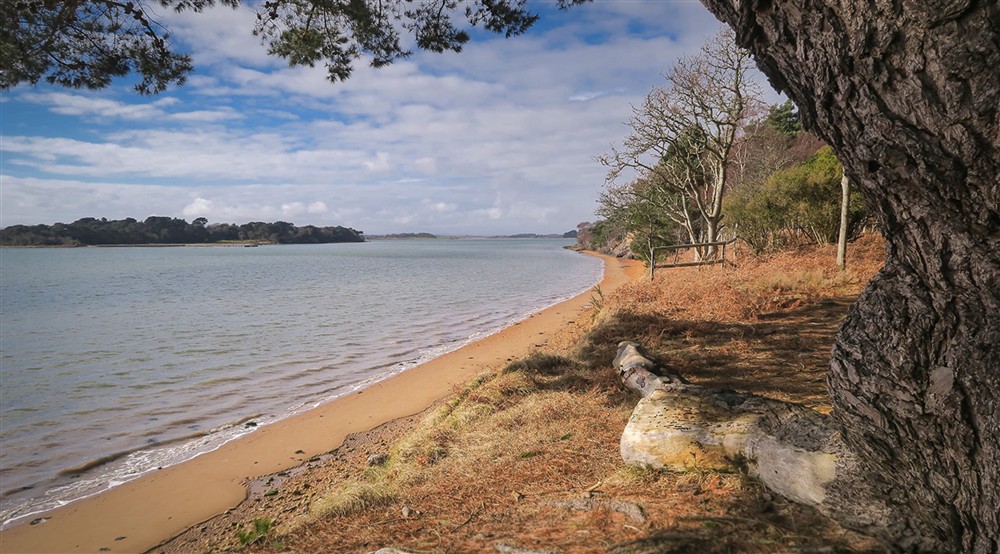 The surrounding area of South Shore Lodge Brownsea Island, Dorset at South Shore Lodge in Poole, Dorset