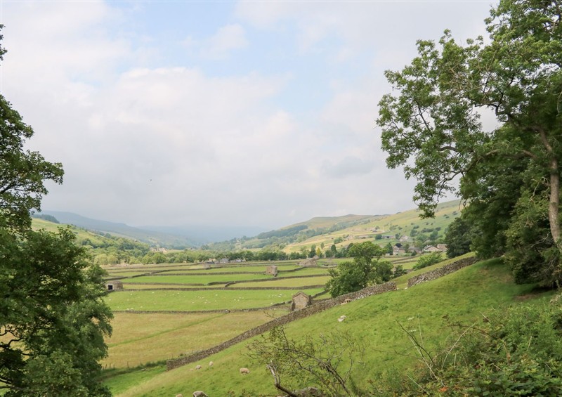 The garden in South View, Gunnerside at South View, Gunnerside, Gunnerside near Reeth