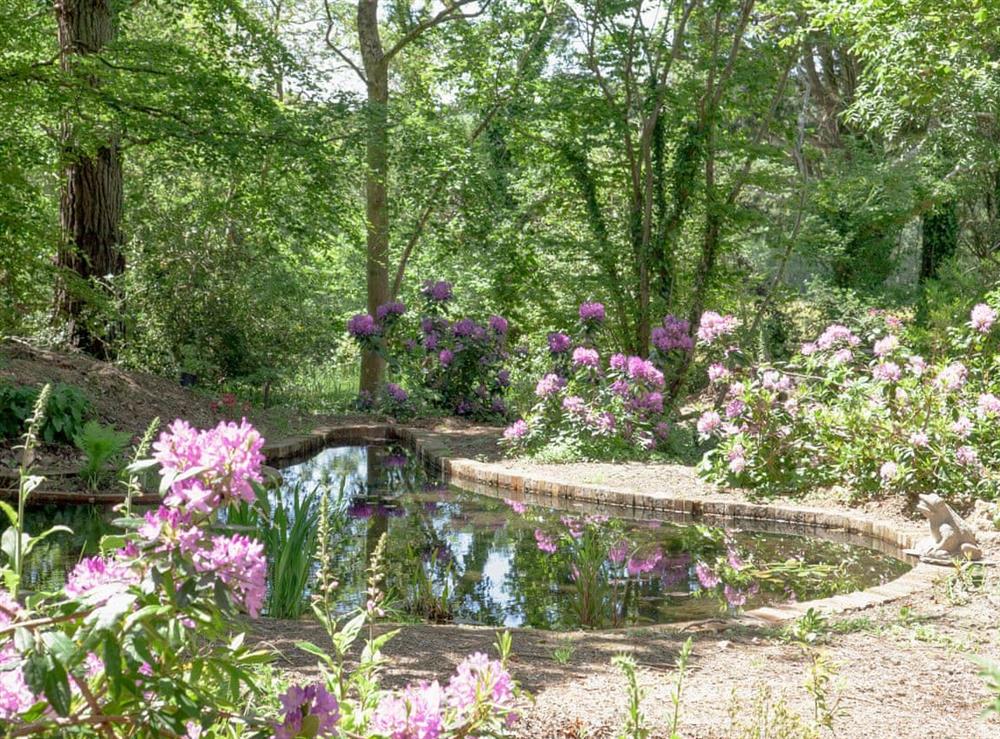 Garden and grounds (photo 5) at South Wing Cottage in Rumleigh, Devon