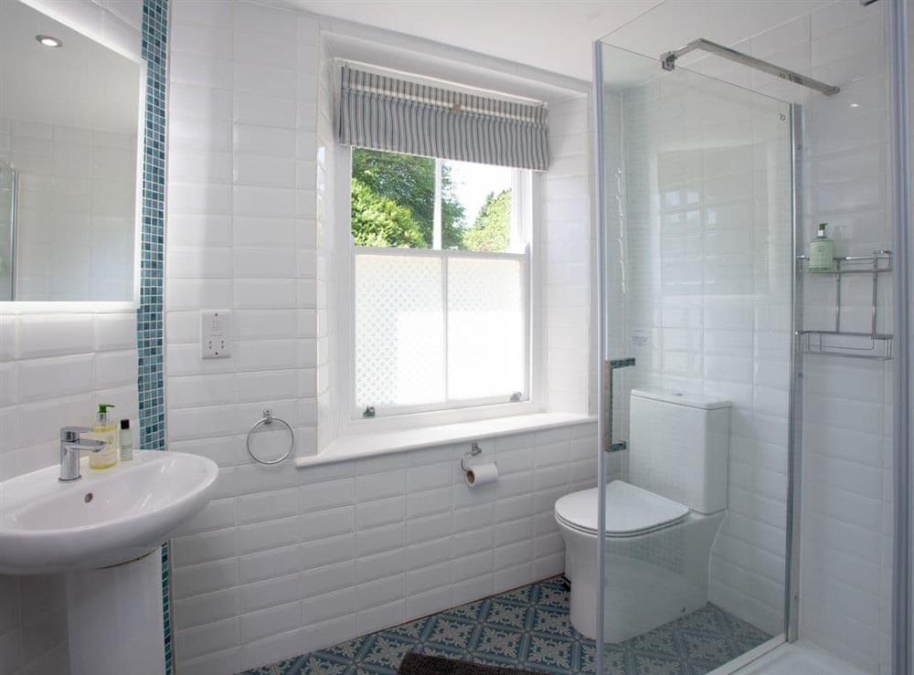 Shower room at South Wing Cottage in Rumleigh, Devon