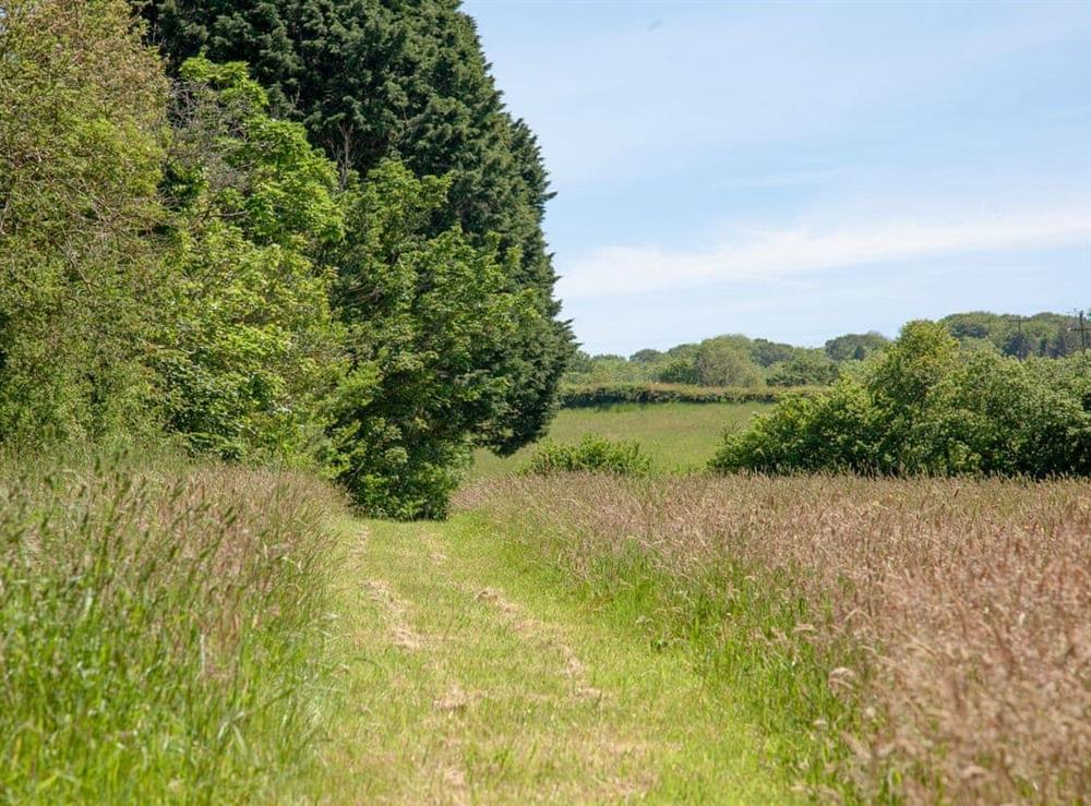 Surrounding area (photo 3) at South Wing Cottage in Rumleigh, Devon