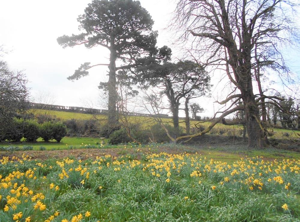 Surrounding area (photo 4) at South Wing Cottage in Rumleigh, Devon