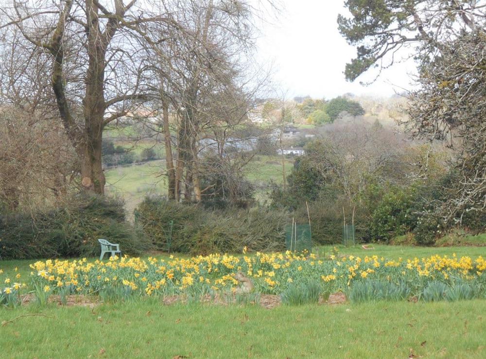 Surrounding area (photo 5) at South Wing Cottage in Rumleigh, Devon