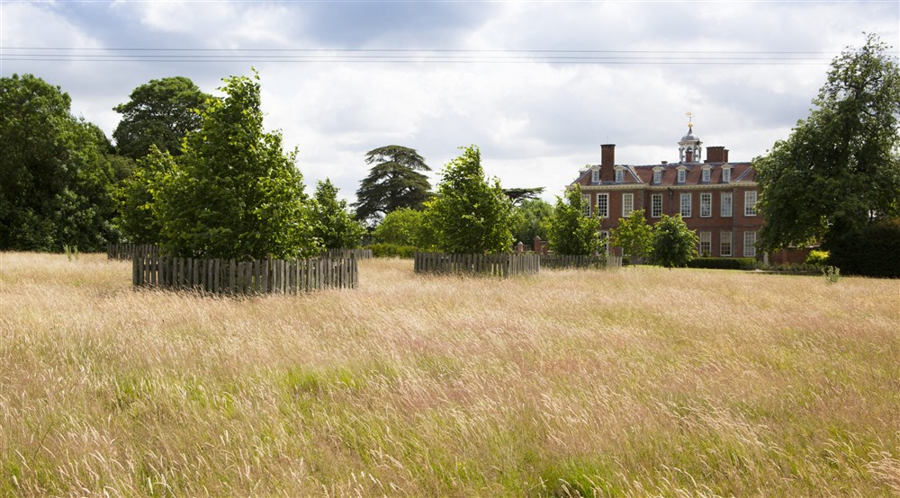 A view of Hanbury Hall from Lime Tree Walk, Worcestershire at South Wing in Droitwich, Worcestershire