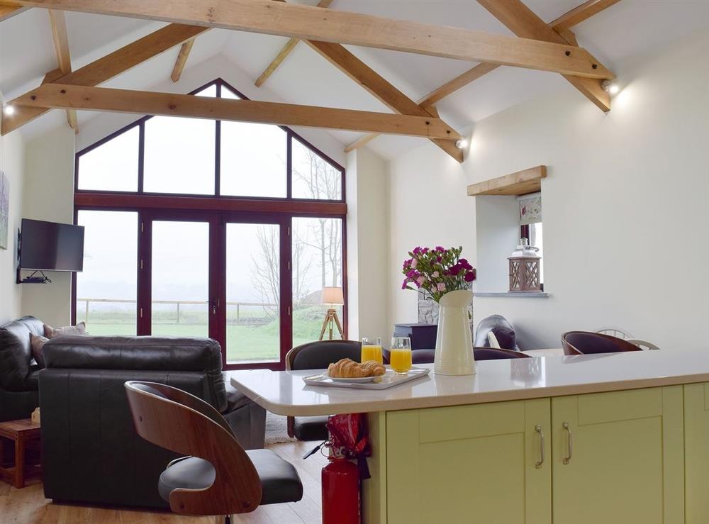 Open plan living/dining room/kitchen (photo 3) at Southlands Barn in Saundersfoot, Dyfed