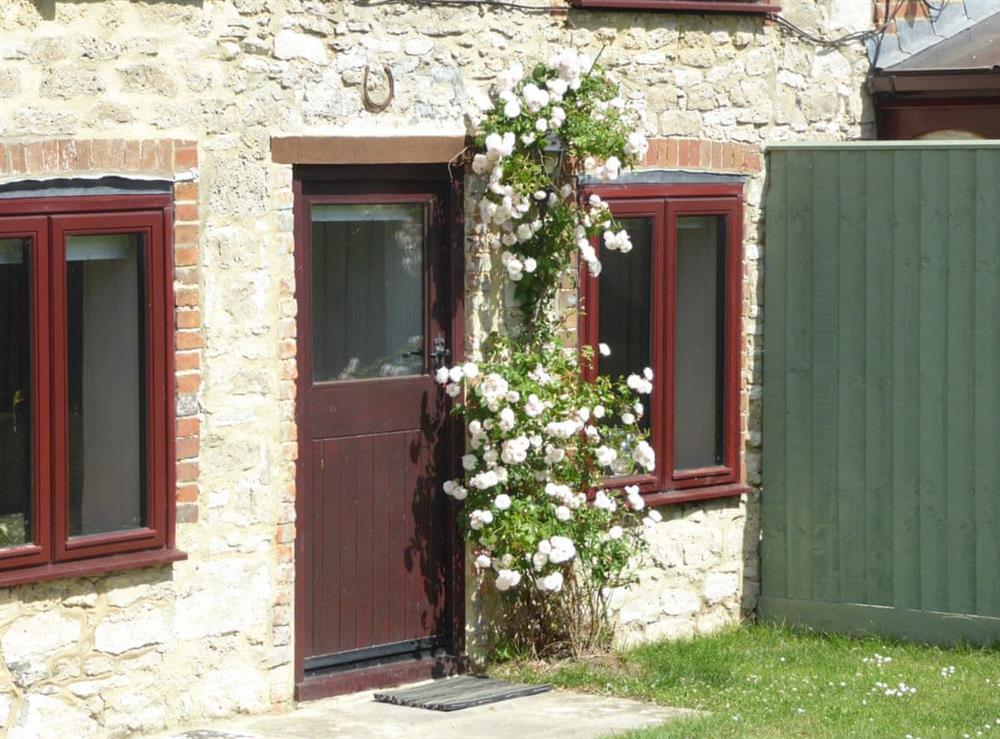 Roses by the garden door at Southview in Porchfield, near Newport, Isle of Wight