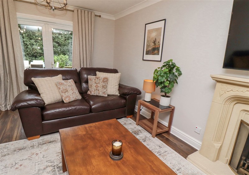 Relax in the living area at Sparrow House, Alnwick