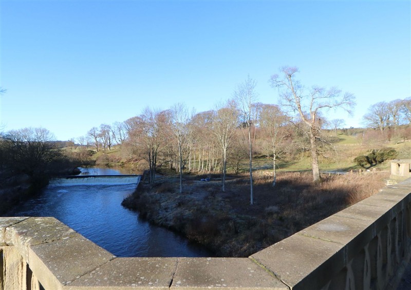 The area around Sparrow House at Sparrow House, Alnwick