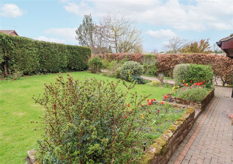The garden at Sparrow House, Alnwick