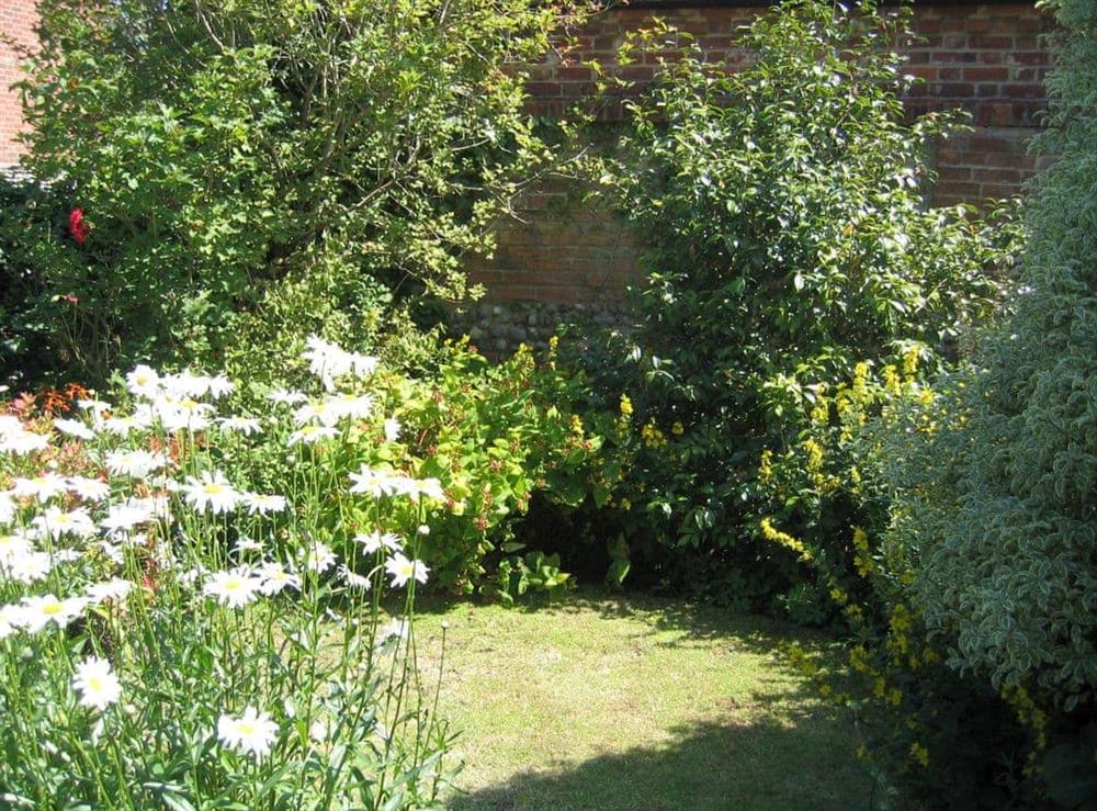 Garden (photo 2) at Speedwell Cottage in Trunch, near North Walsham, Norfolk