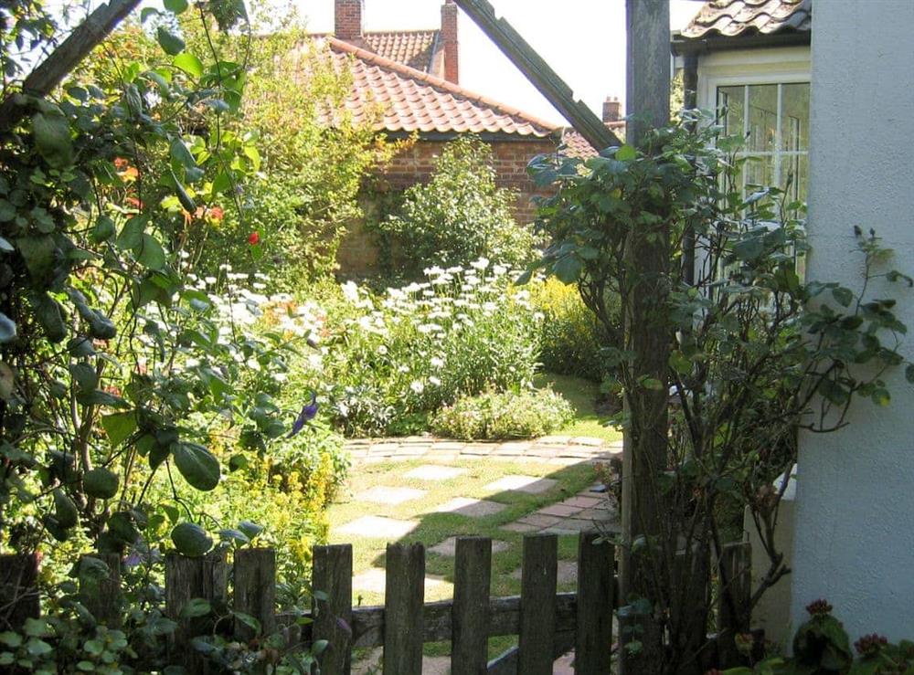 Garden at Speedwell Cottage in Trunch, near North Walsham, Norfolk