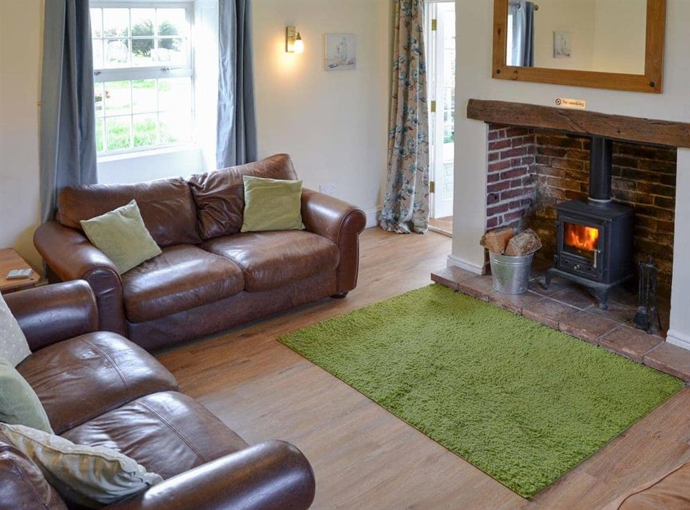 Woodburning stove in the comfortable living room at Speedwell Cottage in Trunch, near North Walsham, Norfolk