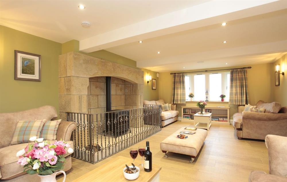 Ground floor: Sitting room with a large fireplace and comfortable sofas at Spicer Manor, Ingbirchworth