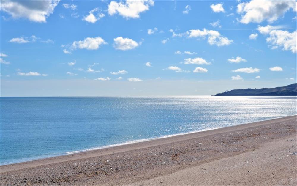 Beesands a few miles away and dog friendly all year round!