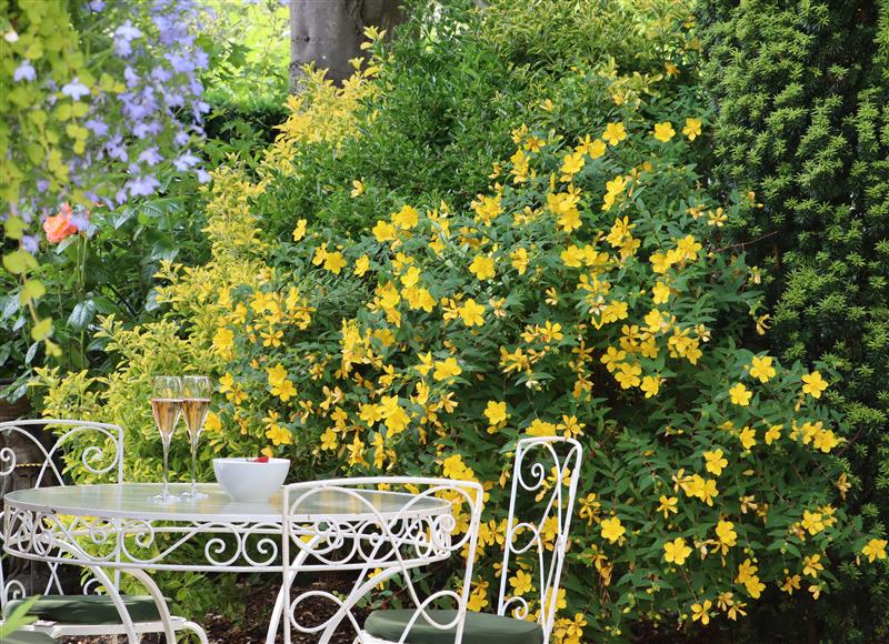 The garden (photo 2) at Spindlewood Cottage, Hawkhurst
