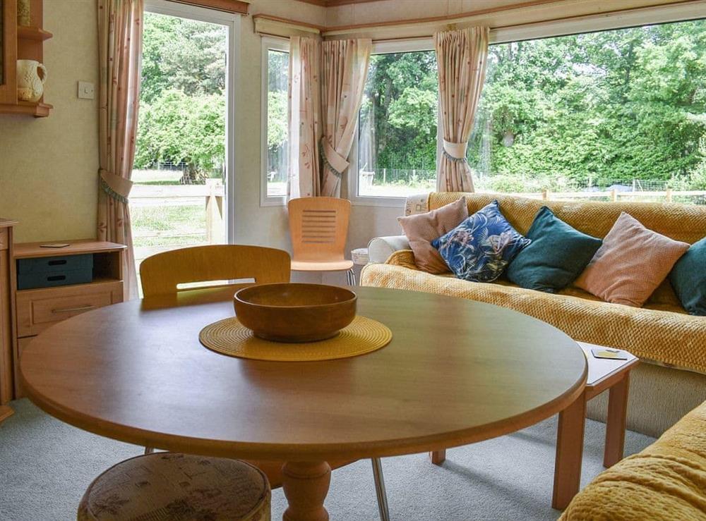 Living area at Spinney Retreat in Romsey, Hampshire