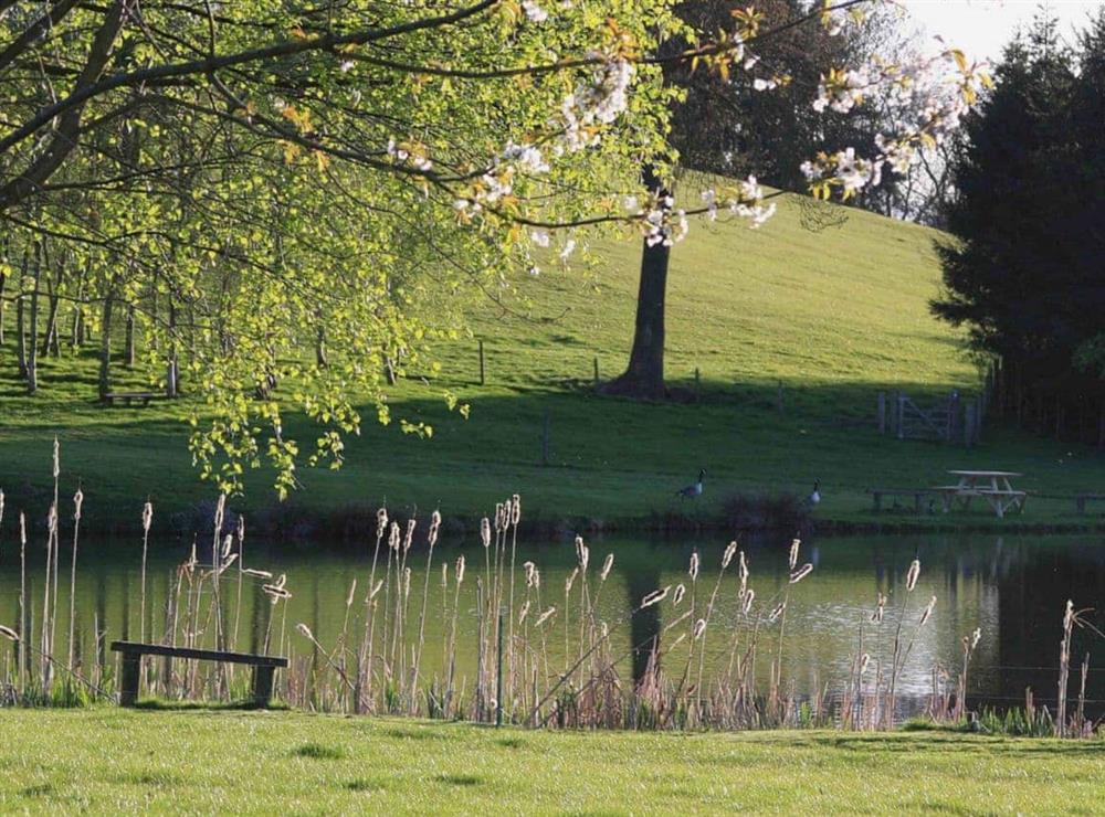 Fishing lake at Sporting Heights in Clows Top, near Kidderminster, Worcestershire