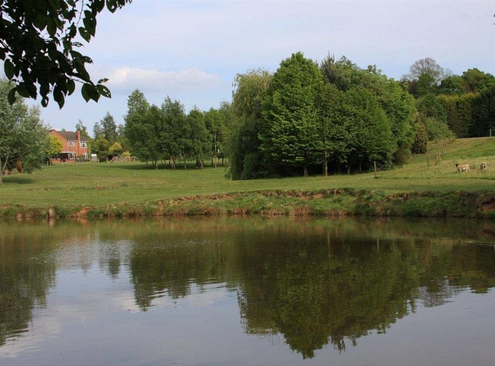 Lake at Sporting Heights in Clows Top, near Kidderminster, Worcestershire