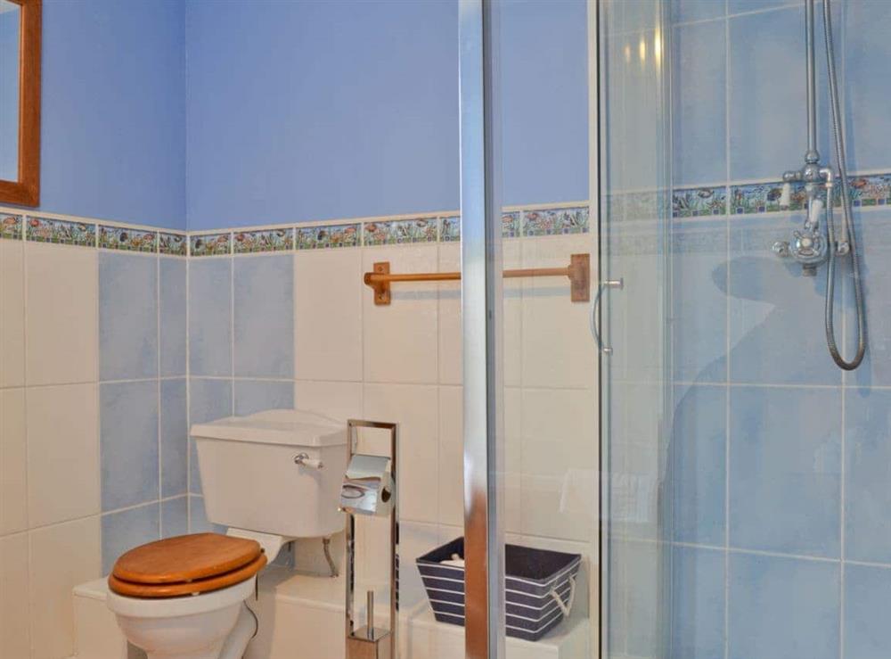 Shower room at Sporting Heights in Clows Top, near Kidderminster, Worcestershire