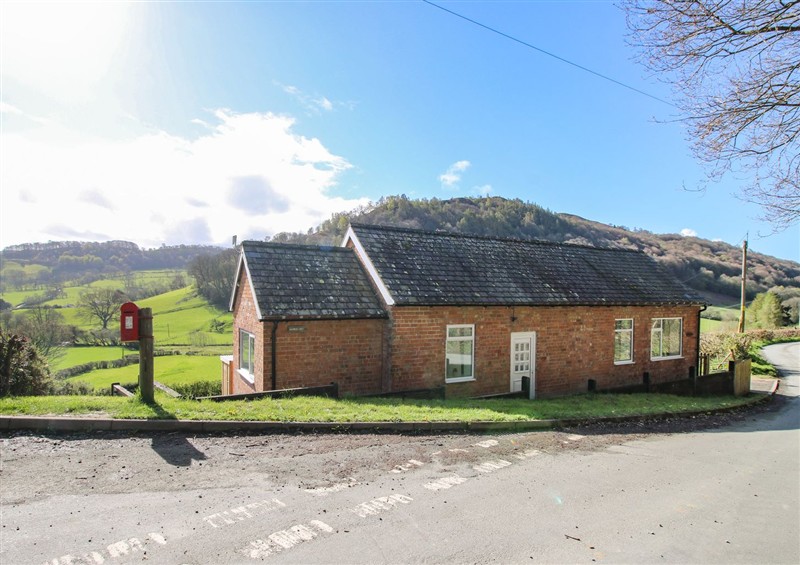 The garden at Spring Bank, Llanfyllin