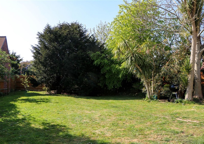 The garden at Spring Cottage, Arundel