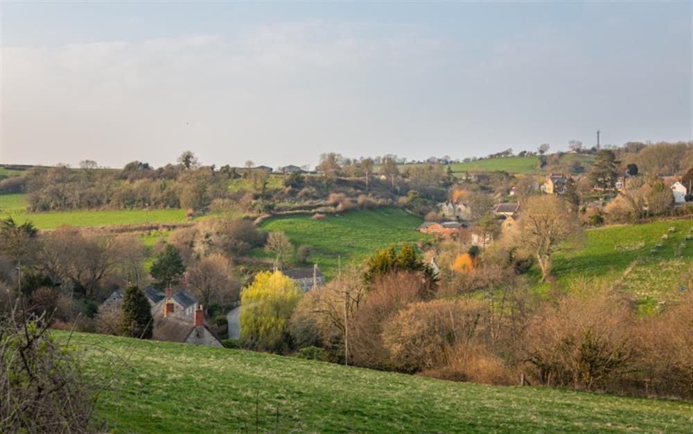 Powerstock is surrounded by beautiful, Dorset countryside at Spring Cottage in Powerstock