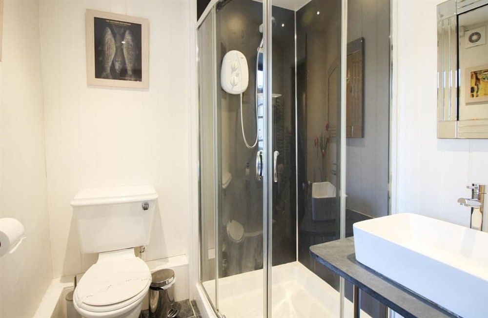 Shower room at Spring Gardens Cottage in Wadebridge, Cornwall