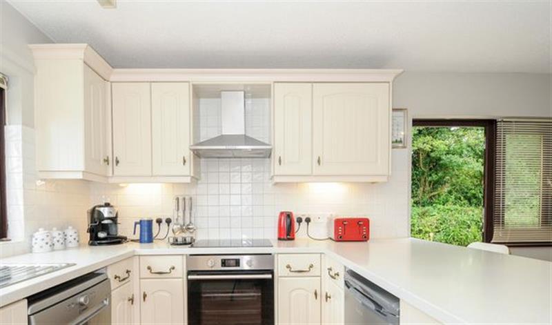 This is the kitchen (photo 2) at Spring Lodge, Eastcott near Kilkhampton