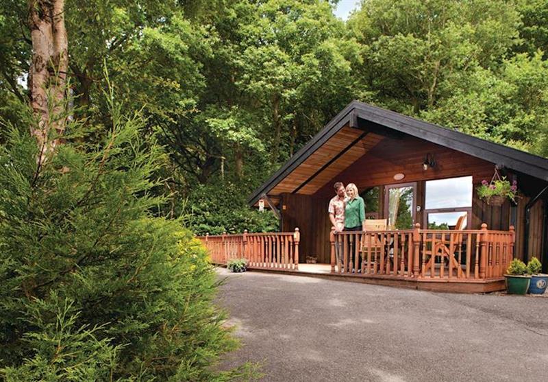 Sneugle at Spring Wood Lodges in Yorkshire Dales, North of England