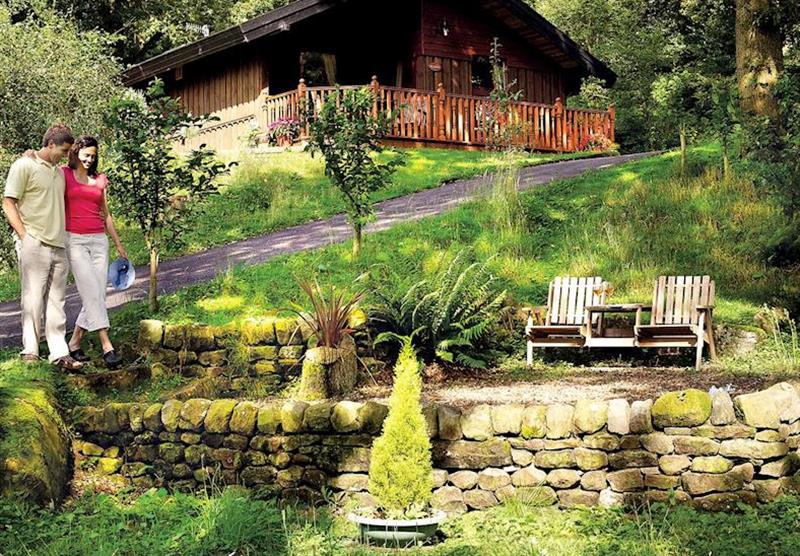 The tranquil setting at Spring Wood Lodges in Yorkshire Dales, North of England
