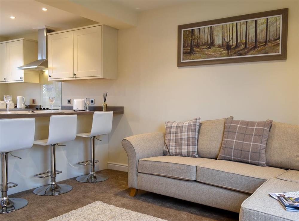 Open plan living space (photo 2) at Springdale in Aldbrough, near Hornsea, North Humberside