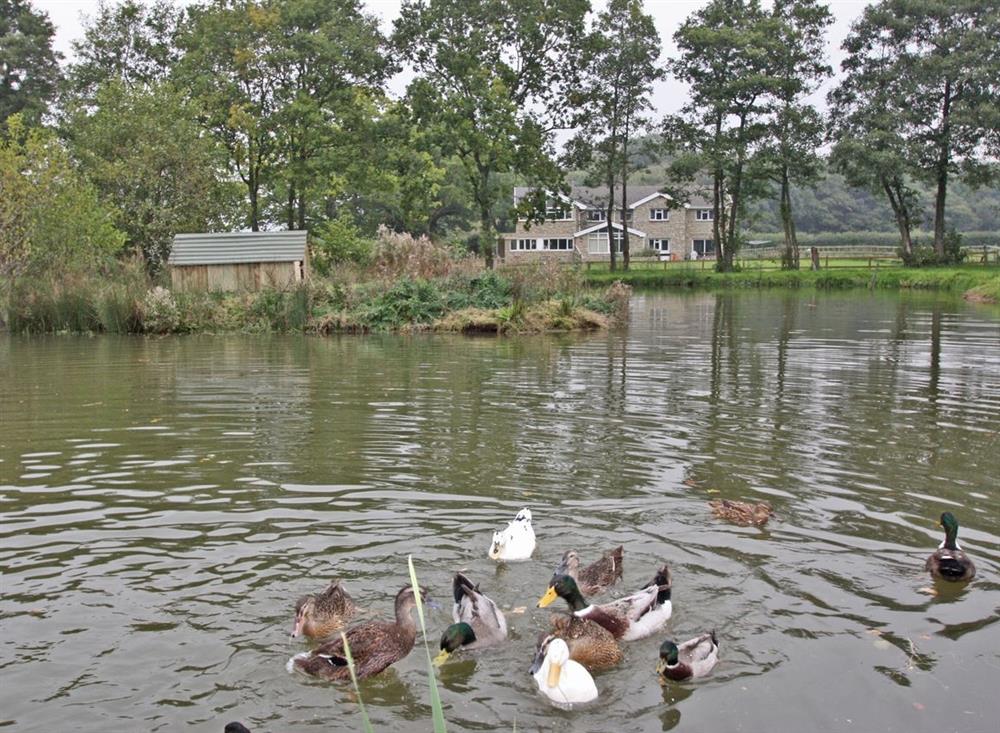A photo of Lakeside at Springfield Court