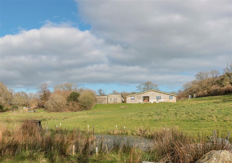 Rural landscape at Springfield Farm, Moreleigh near Halwell