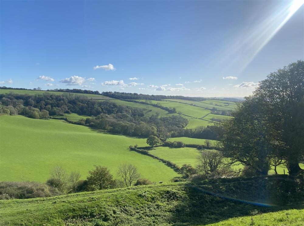 View from the cottage