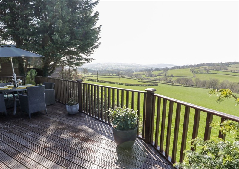 The garden at Springtime Lodge, Rhyd-y-Foel near Abergele
