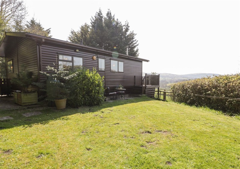 This is the garden at Springtime Lodge, Rhyd-y-Foel near Abergele