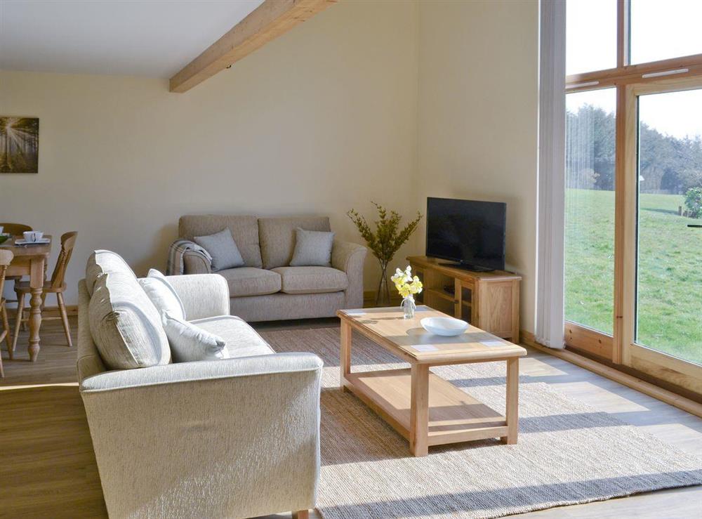 Attractive area in open plan living space at Kingfisher Lodge, 