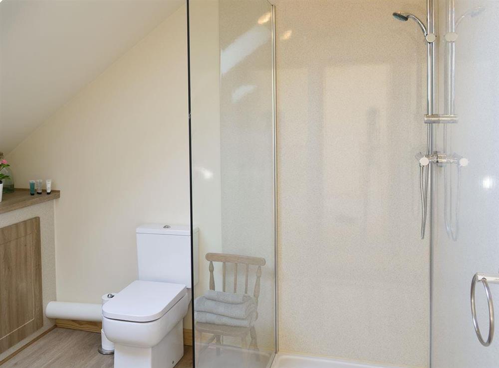 En-suite shower room at Kingfisher Lodge, 